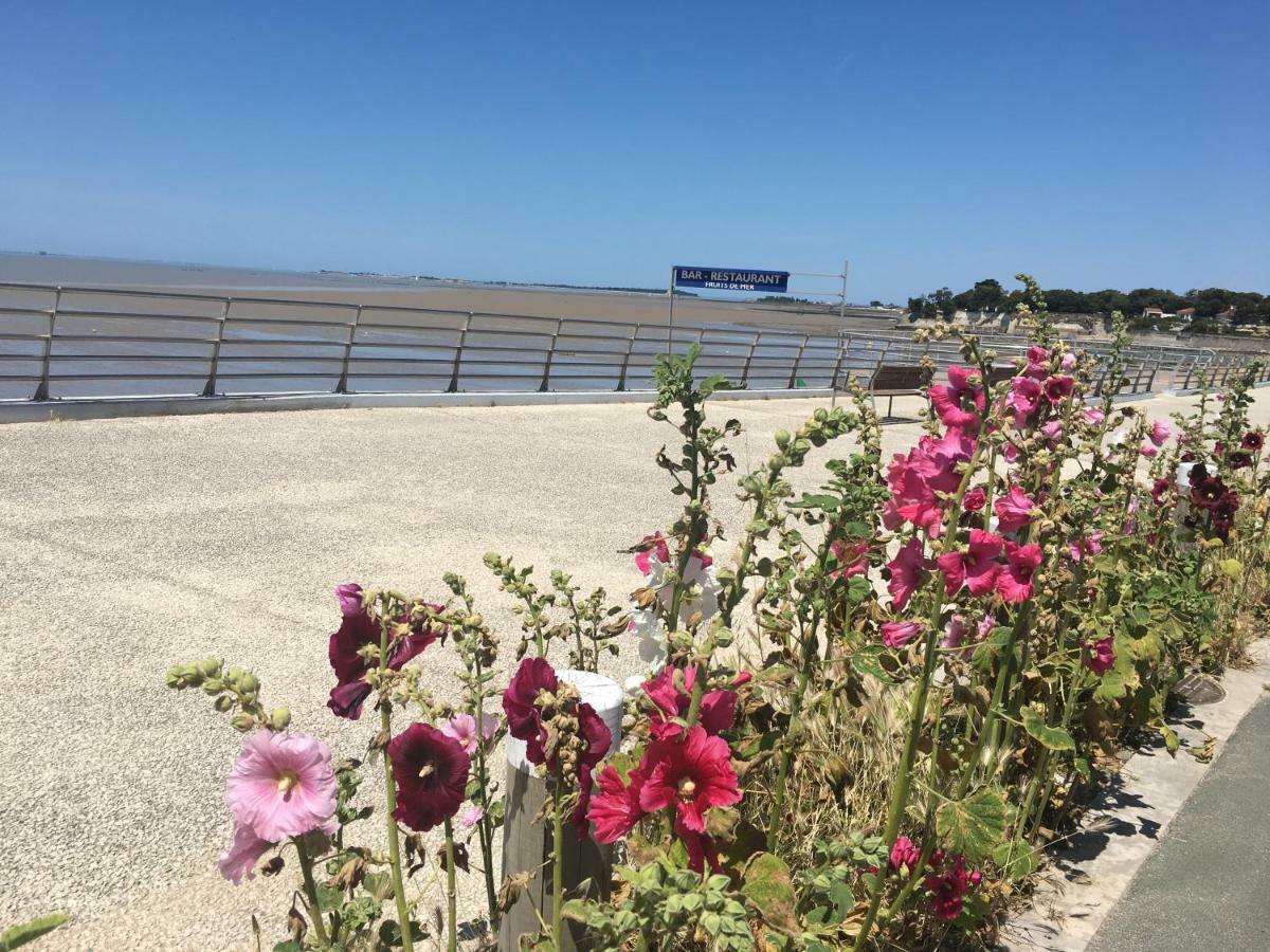 Petit nid à 50m de la plage au coeur de Fouras Esterno foto
